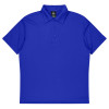 Hawksburn Mens Polos Royal